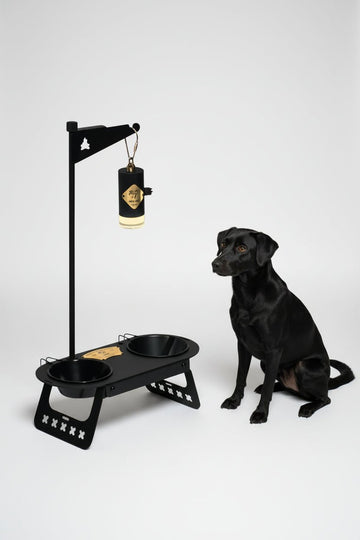 American camping style pet dining table