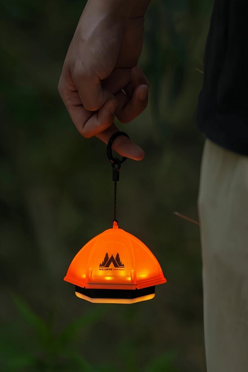 Dopamine Pupu Ball lamp